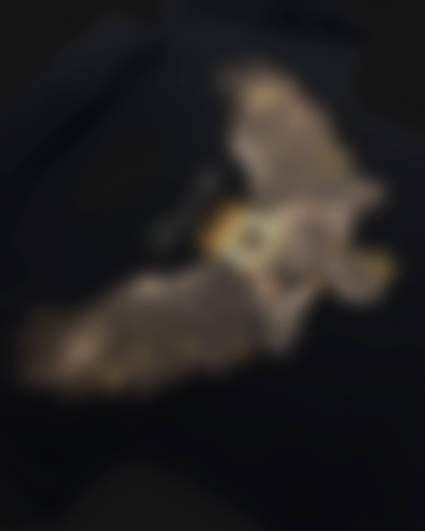 Blurred close-up of the eagle bird graphic printed on a DVYNDRIP T-shirt against black waffle fabric